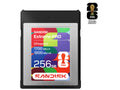 SanDisk SDCFE-256G-GF4NN 256GB CFexpress Type B Card: FWC 2026 Edition
