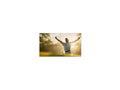 Philips 55BDL8107X/00 55" Videowall 24/7 Display, FHD (1920x1080), 700cd/m2, 0.88mm B-B