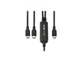 Eaton Tripp Lite U420P-2X4-140W 2-in-1 USB-C Charging Cable (M/2xM) - 140W PD 3.1 Charging, 4 ft. (1.2 m)