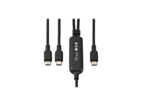 Eaton Tripp Lite U420P-2X4-140W 2-in-1 USB-C Charging Cable (M/2xM) - 140W PD 3.1 Charging, 4 ft. (1.2 m)