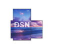 SMART DSN165 digital signage display