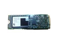 Lenovo 4XB0G88741 M.2 80GB Value ReadOptSATA 6Gbps SSD