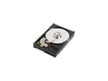 Lenovo 7XB7A00036 ThinkSystem 2.5" 1TB 7.2K SATA 6Gb Hot Swap 512n HDD