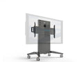 Salamander Designs FPS1XL/FH/GG XL- Mobile Stand, Fixed Height