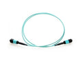 Axiom MPOFFOM330M-AX MPO-MPO OM3 F/F Fiber Cable 30m