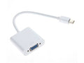Axiom R7X-00018-AX Mini DisplayPort to VGA Adapter, White