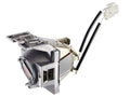 ViewSonic RLC-116 Projector Replacement Lamp for PX700HD, PG700WU