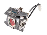 ViewSonic RLC-118 Projector Replacement Lamp for PX706HD