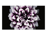 Samsung IW008J The Wall Professional Panel- Indoor Direct View LED Display - TAA Compliant - Pixel Pitch 0.84mm