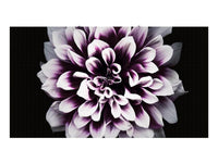 Samsung IW008J The Wall Professional Panel- Indoor Direct View LED Display - TAA Compliant - Pixel Pitch 0.84mm