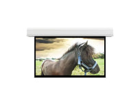 Da-Lite 36982EFL Advantage 271" Diag. 133" x 236" Matte White, 220V - Surface, Roller & Motor Assembly Only (installs into matching B case)