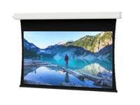 Da-Lite 70125FL Tensioned Advantage 189" Diag. Da-Mat - Surface, Roller & Motor Assembly Only (installs into matching B case)