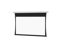 Da-Lite 82430E Cosmopolitan Tensioned 200" Diag. Da-Mat Electric Projection Screen, 220V