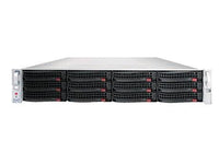 3S Vision IA0641-E 12Bay Server