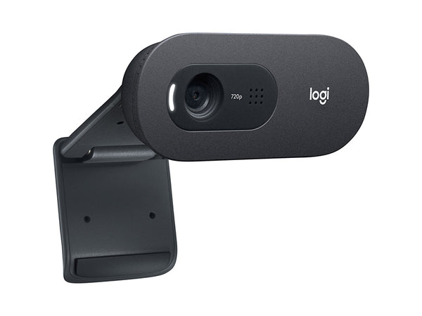 Logitech 960-001385 C505e - webcam