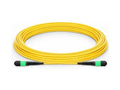 NVIDIA MFP7E30-N015 Passive fiber cable, SMF, MPO to MPO, 15m