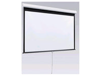 Draper 206009  Luma 2 Manual Projection Screen 8x10
