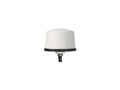 PCTEL GLHPDLTE-SF Antenna, Coach, GNSS, Dual LTE, White