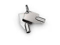 Compulocks RK#25EC Replacement Key For Enclosure Cylinders (Single Key) #25