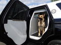 Havis K9-F27-1 Standard White K9 Transport System for 2018-2021 Ford Expedition