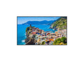 Panasonic TH-75EQ2W 75Inch 4K UHD, 500cd/m2, SDM, LED LCD Display