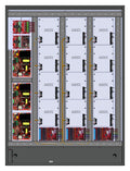 LifeSafety Power FPO250/250/250-5D8P3M8NLCE12M/P24-C Dual‑Voltage Access Control Power System, 250W, Managed and AUX Outputs, Networked, ProWire Enclosure