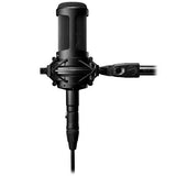 Audio-Technica AT2035 Cardioid Condenser Microphone