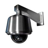 Pelco LD53PSB-1 LWR DM Fixture for Pendant, Stainless Steel, Clear Bubble Lower Dome, Clear