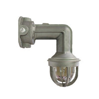 Potter LSEX-24WMR Wall Mounted Explosion Proof Strobe, Red Lens