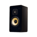 Induction Dynamics S2-CUSTOM 2-Way Single Loudspeaker, Custom Finish