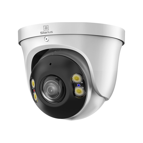 Panoramic Cameras