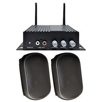 Speco AACEK1B AA1 Amplifier and SPCE5OB Bundle, Black