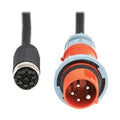 Eaton Tripp Lite CBL355-10 ePDU Cable Assembly, Universal 516P6W Input, 10' Length, UL/CE Certified