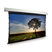 Dragonfly DFM-TAB-100-MW 100" Motorized Tab Tension Matte White Projection Screen (16:9)