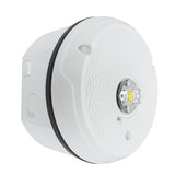 System Sensor SCWKLED-P L-Series Outdoor