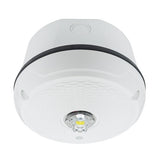 System Sensor SCWKLED-P L-Series Outdoor