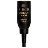 Audix ADX40W Professional Overhead Choir
