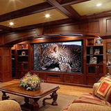 Draper 139035 Access E, 193 HDTV, XT1000