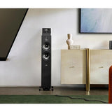 Polk 300034-01-00-005 Reserve Series R60