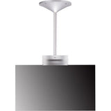 LG Pro 55EH5C-S 55 Class Dual-View Flat