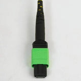 ICC ICFOJATS100 NCNR 12-Fiber Jumper, MT