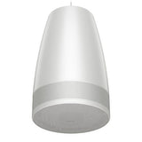 Bose Professional 892117-0200 DesignMax 
