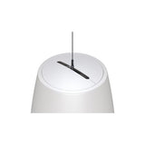 Bose Professional 892117-0200 DesignMax 