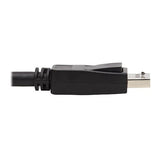 Eaton Tripp Lite P783-010 DP KVM Cable, 
