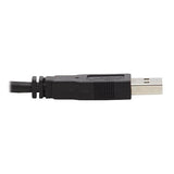 Eaton Tripp Lite P783-010 DP KVM Cable, 