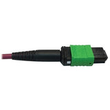 Eaton Tripp Lite N846D-03M-16EMG Fiber O
