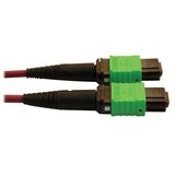 Eaton Tripp Lite N846D-01M-16AMG Fiber O