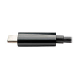 Eaton Tripp Lite U444-06N-H4UB-C USB-C t