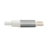 Eaton Tripp Lite U442-DOCK10-S USB-C Doc