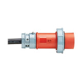 Eaton Tripp Lite CBL355-10 ePDU Cable As